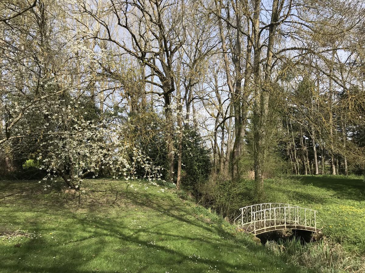 Larcay Chambre D'Hote Manoir De Clairbois المظهر الخارجي الصورة