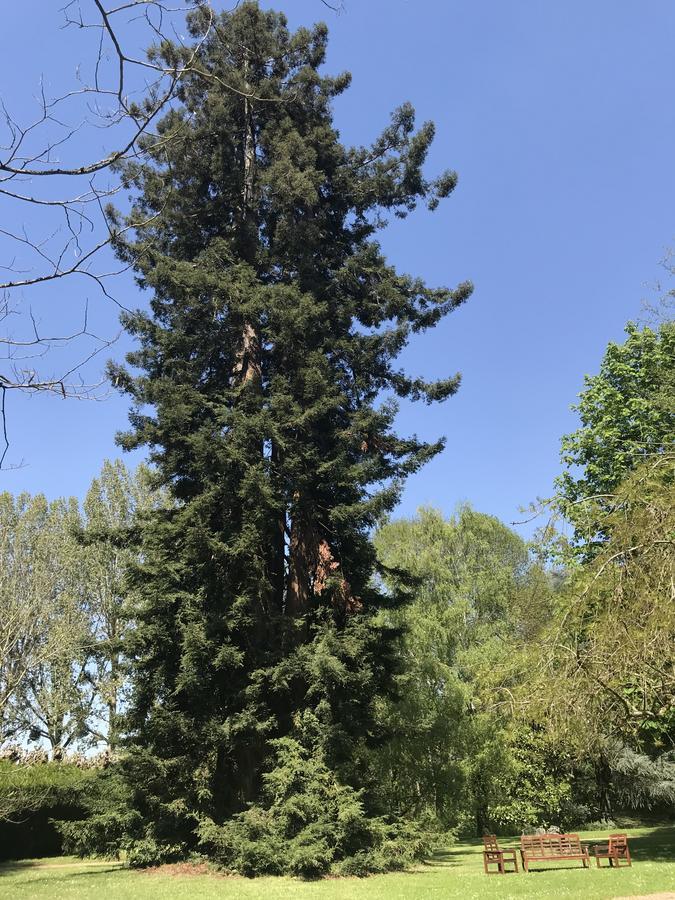 Larcay Chambre D'Hote Manoir De Clairbois المظهر الخارجي الصورة