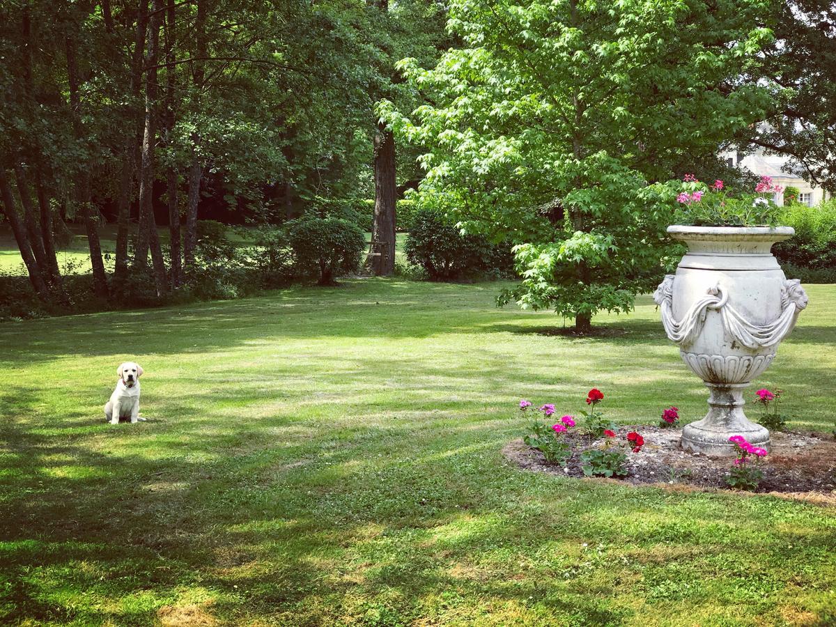 Larcay Chambre D'Hote Manoir De Clairbois المظهر الخارجي الصورة